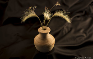 This little vase is known as a Weed Pot. I cannot take credit for the name. It goes to Sam Angelo, a wood turner in Wyoming. I’m not sure what kind of wood this is. Some scrap I had in the shop.