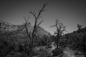 Half DomeYosemite, CaliforniaThe Sleeping GiantNikon D7100, 18-300mm f/3.5-5.6 Lens1/1000 sec at f/5.3, ISO 200, 52mm