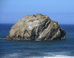 Face RockFace Rock State Scenic Viewpoint, OregonThis is really amazing. It is perfecty oriented. Reminds me of Charlton Heston finding the Statue of Liberty in Planet of the Apes. "Damn you to hell!" Nikon D7100, 18-300mm f/3.5-5.6 Lens1/1000 sec at f/5.6, ISO 140, 112mm