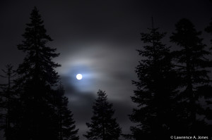 Ominous MoonBear Valley, CaliforniaThis is a night for the Wolfman.Nikon D90, 18-105mm f/3.5-5.6 Lens5 sec at f/5.3, ISO 200, 66mm