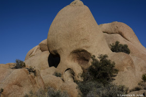 Skull Rock Joshua Tree National Park, California This is kind of intense. It's as if one is walking on sacred ground. Nikon D7100, 18-300mm f/3.5-5.6 Lens1/1000 sec at f/13, ISO 400, 48mm