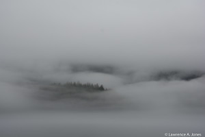 Ominous FogSan Juan Islands, WashingtonThis was a very cool day out on the water. The fog is a blanket that lurks about the sea and land. Who knows what takes place at time like this.Nikon D7100, 18-300mm f/3.5-5.6 Lens1/1000 sec at f/6.3, ISO 200, 50mm