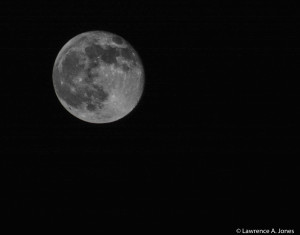 Gorgeous MoonBear Valley, CaliforniaThis was an awesome night for taking shots of the moon.  No ambient light to wash it out.  What a great location for this type of shot.Nikon D7100, 18-300mm f/3.5-5.6 Lens1/800 sec at f/7.1, ISO 200, 300mm