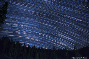 Western Star Trail, Mt. Reba, California Nikon D7100, 18-300mm f/3.5-5.6 Lens 1/1250 sec at f/16, ISO 1800, 175mm